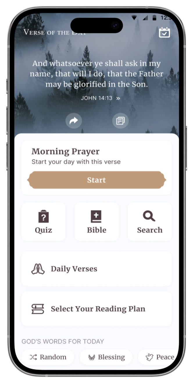 Bible Offline KJV app preview